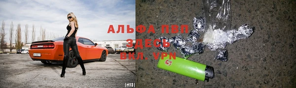 трава Коряжма