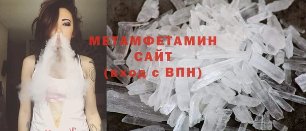 трава Коряжма