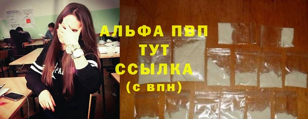 трава Коряжма