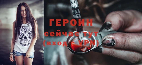 трава Коряжма
