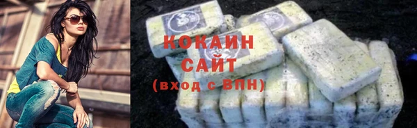 трава Коряжма
