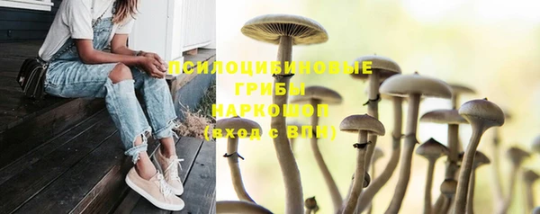 MESCALINE Костерёво