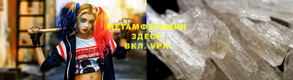 трава Коряжма