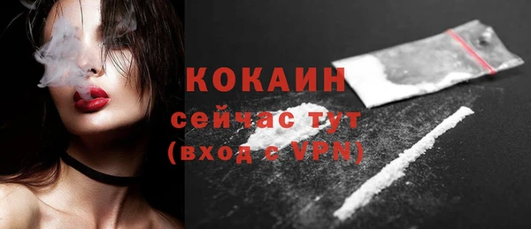 трава Коряжма