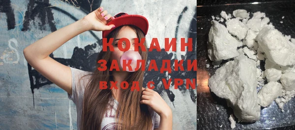 трава Коряжма