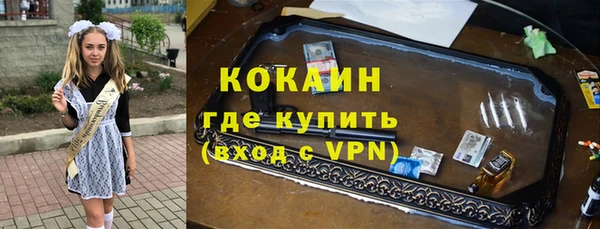 трава Коряжма