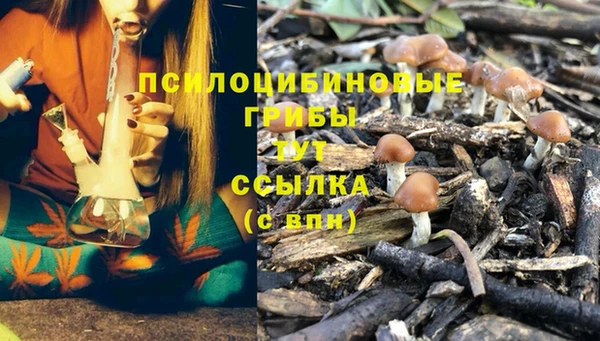 jwh Корсаков