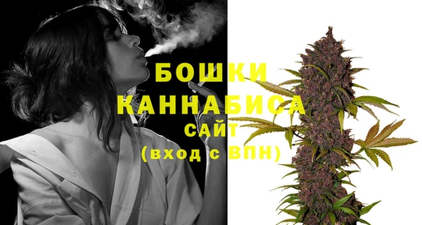 трава Коряжма