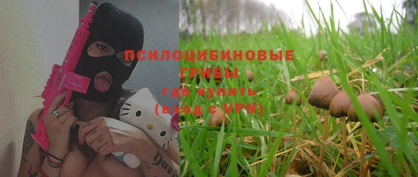 трава Коряжма
