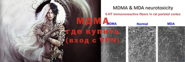 трава Коряжма