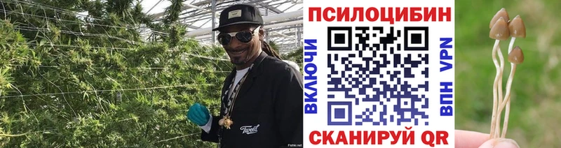 Галлюциногенные грибы Magic Shrooms  Купить закладки  Ялуторовск 
